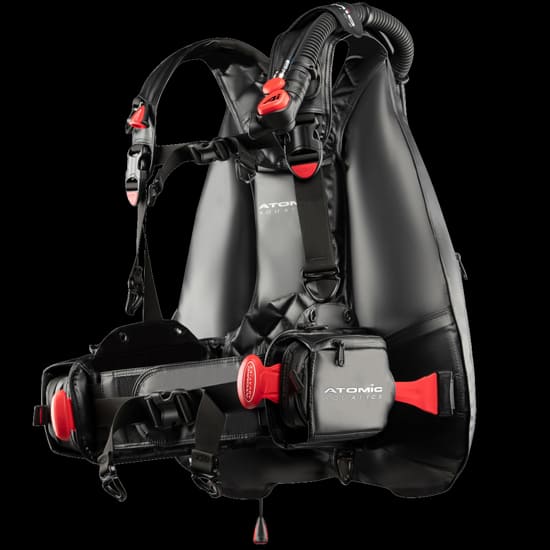 BC2 – プロフェッショナル向け